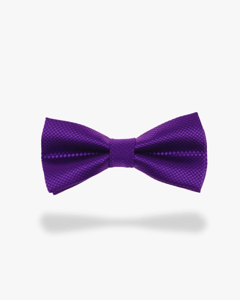 Noeud papillon mariage | Violet