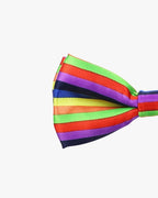 Noeud papillon | Multicolor Multicouleur