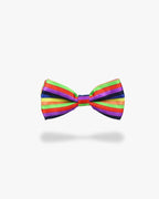 Noeud papillon | Multicolor Multicouleur