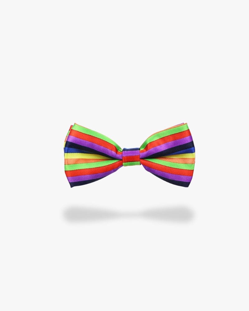 Noeud papillon | Multicolor Multicouleur