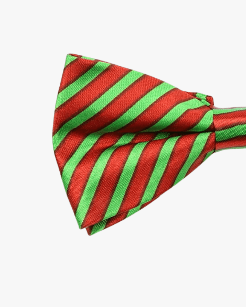 Noeud papillon noël | Enfant Rouge | Vert