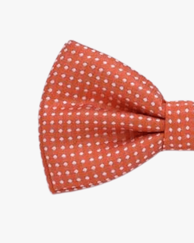 Noeud papillon orange a pois blanc detail