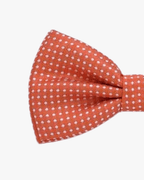 Noeud papillon à pois | Orange Orange