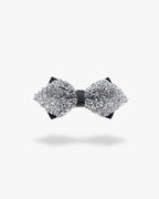 Noeud papillon paillette | Argent Argent