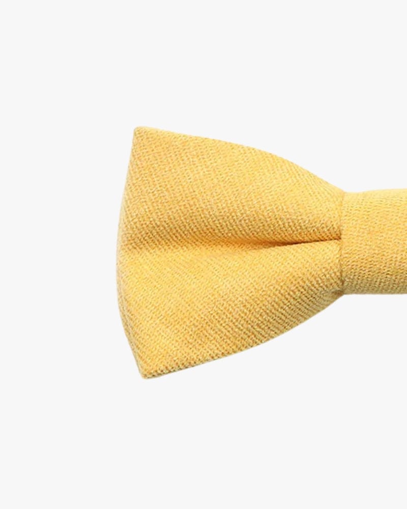 Noeud papillon père & fils | Jaune Jaune