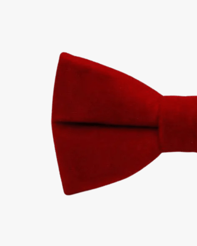 Noeud papillon velours | Rouge Rouge intense