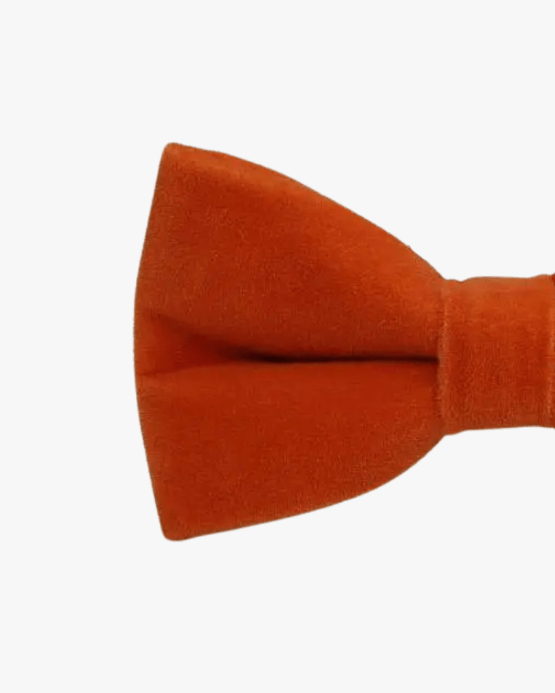Noeud papillon velours | Orange Orange
