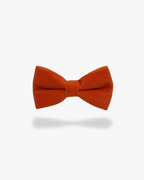 Noeud papillon velours | Orange Orange