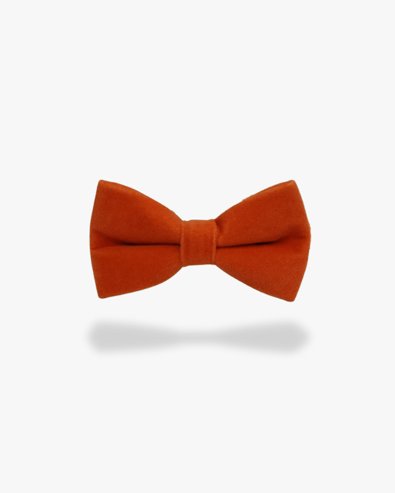 Noeud papillon velours | Orange Orange