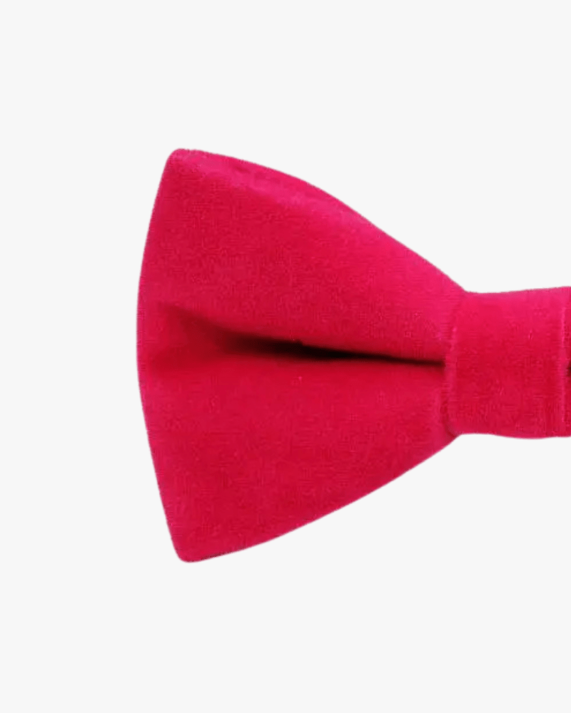 Noeud papillon velours | Rose Rose