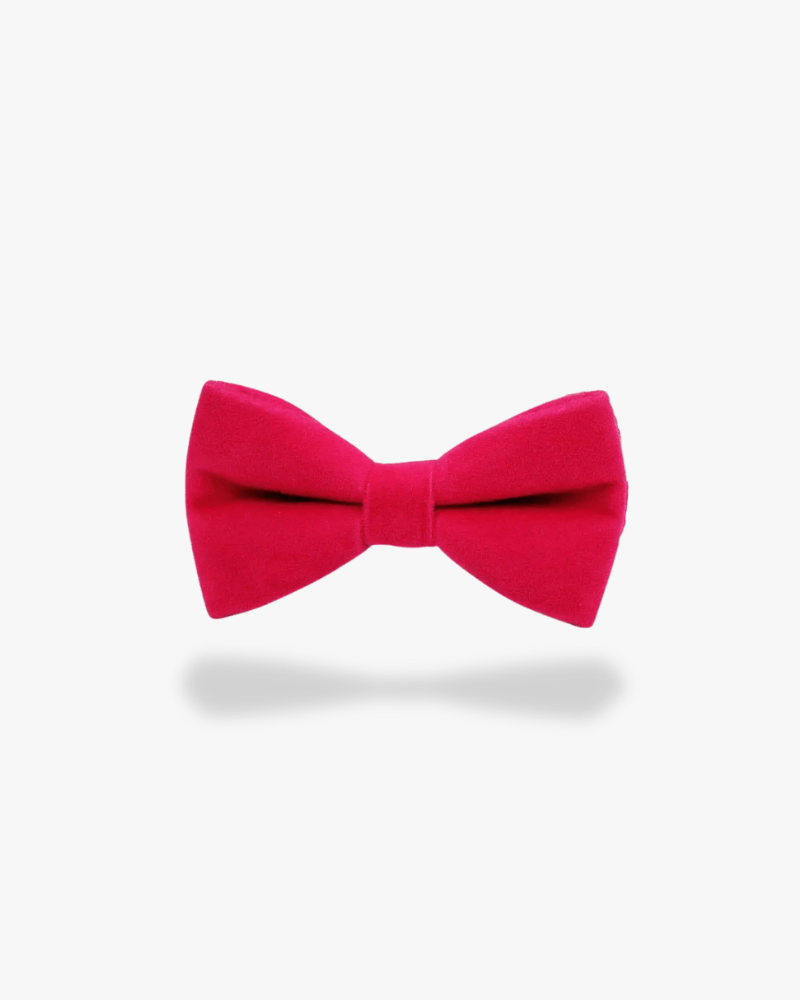Noeud papillon velours | Rose Rose