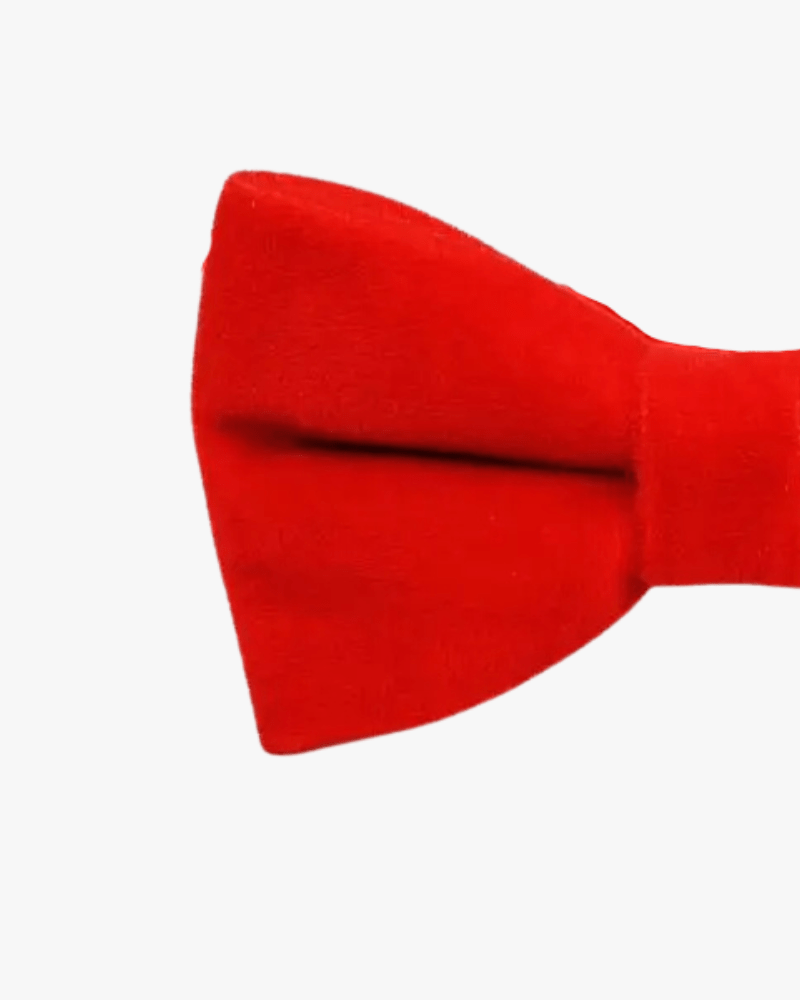 Noeud papillon velours | Rouge vif Rouge
