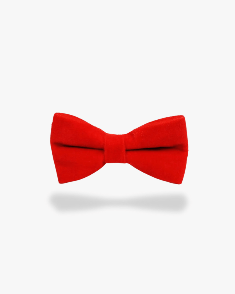 Noeud papillon velours | Rouge vif Rouge
