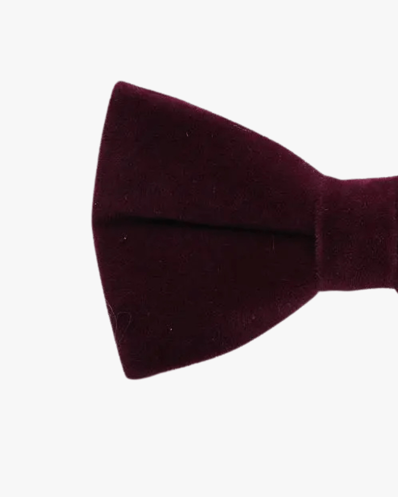 Noeud papillon velours | Bordeaux Bordeaux sombre