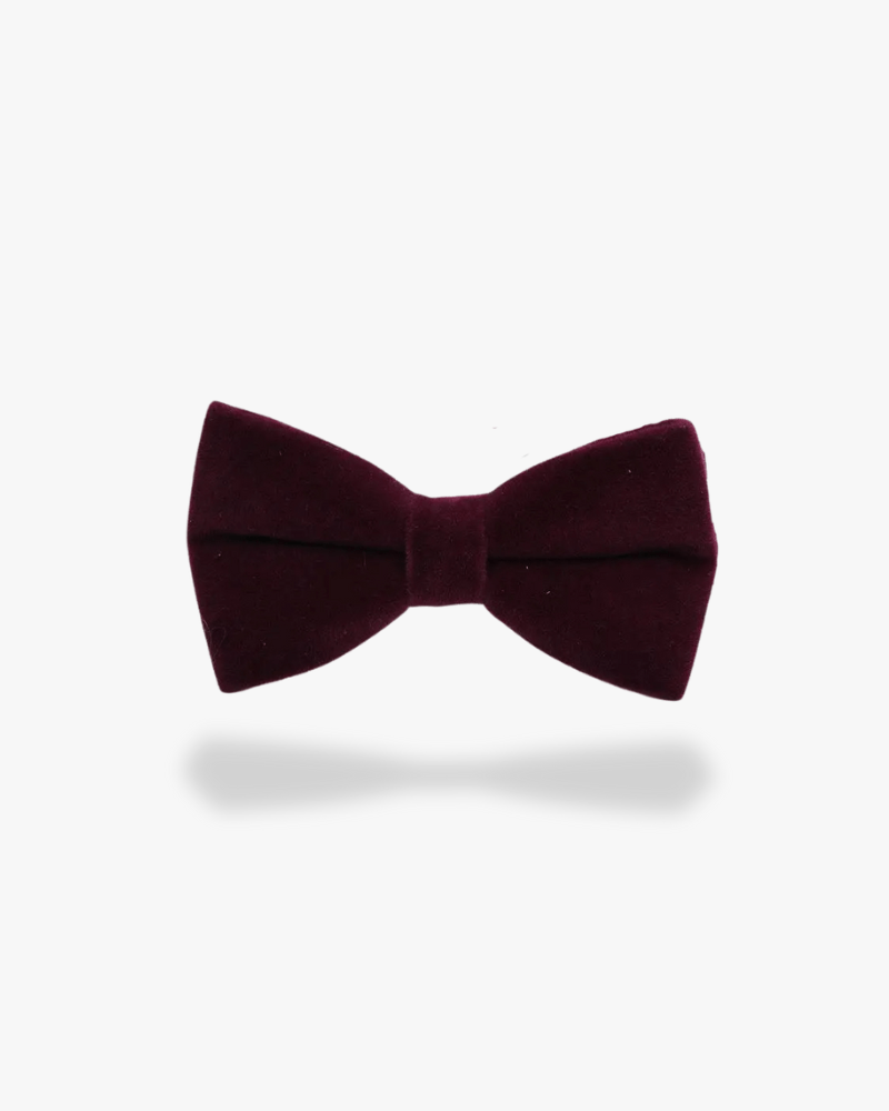Noeud papillon velours | Bordeaux Bordeaux sombre
