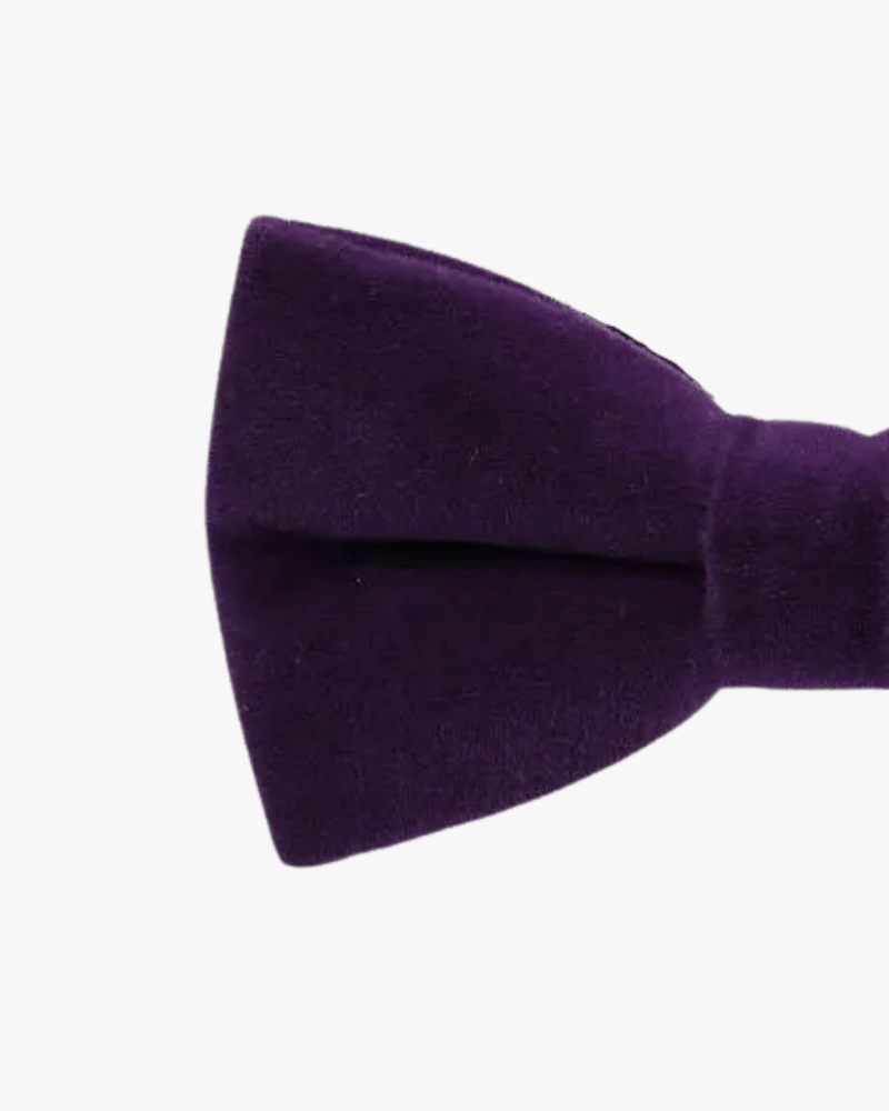 Noeud papillon velours | Violet Violet
