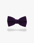 Noeud papillon velours | Violet Violet