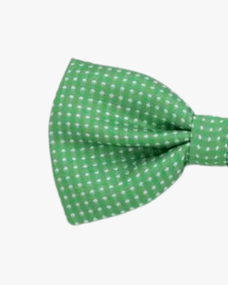 noeud papillon vert a pois detail