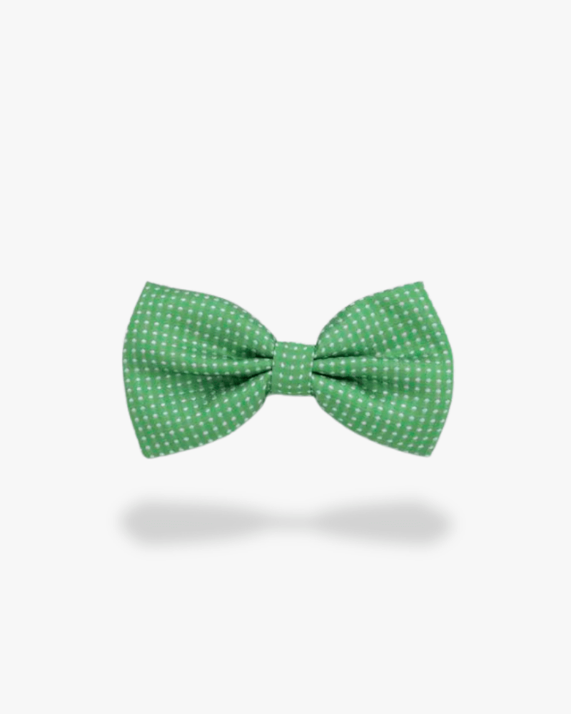 noeud papillon vert a pois