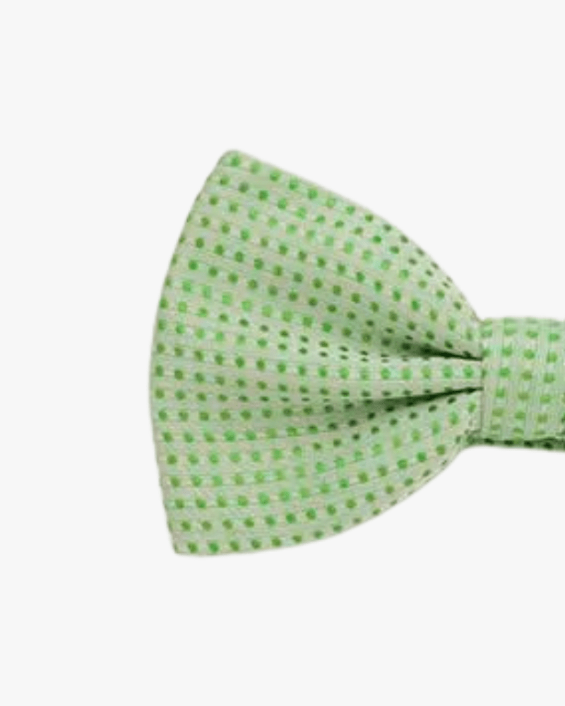 Noeud papillon vert clair a pois detail