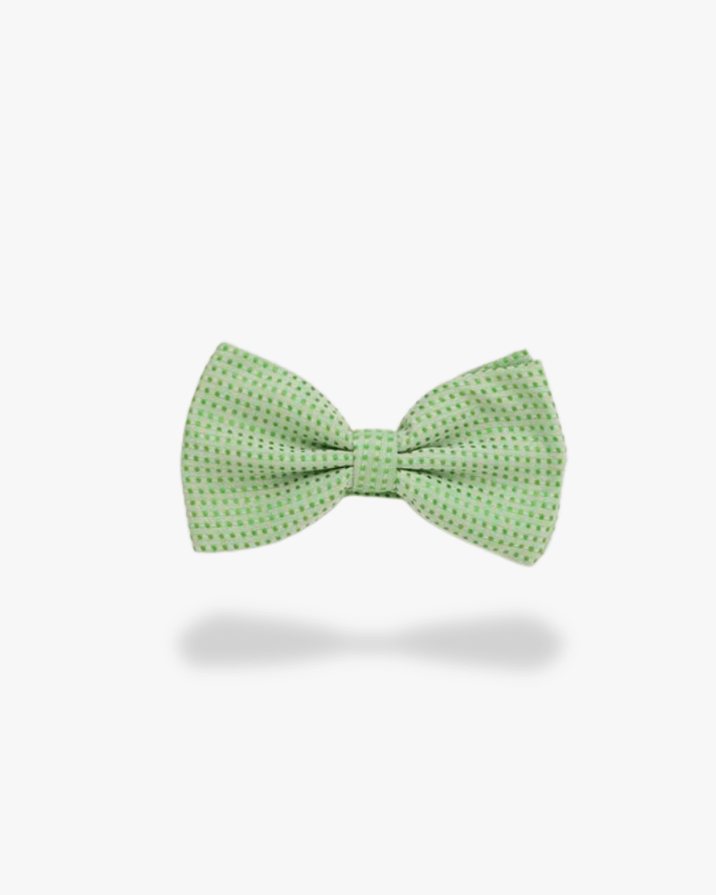 Noeud papillon vert clair a pois