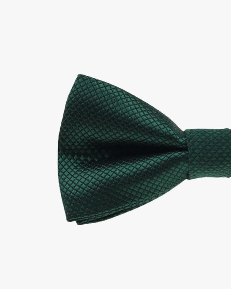 Noeud papillon mariage | Vert