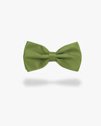Noeud papillon | Vert olive Vert