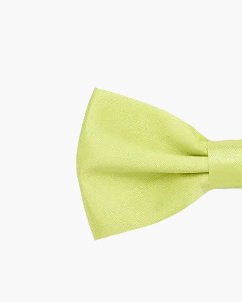 Noeud papillon | Vert pastel Vert pastel