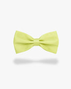 Noeud papillon | Vert pastel Vert pastel